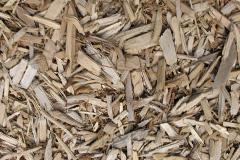 biomass boilers Nerabus
